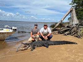 Alligator Hunt