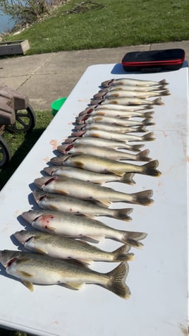 Detroit River Walleye Jigging