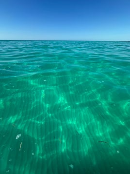 Key West Sandbar & Snorkel Trip