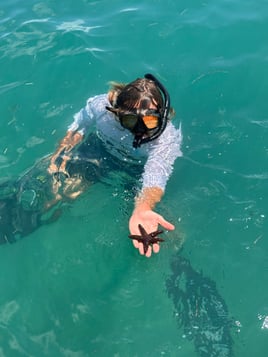 Key West Sandbar & Snorkel Trip
