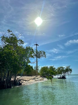Key West Sandbar & Snorkel Trip