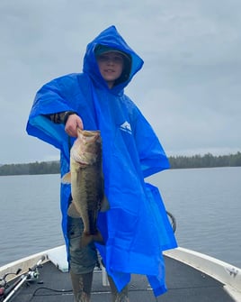 Bass Fishing