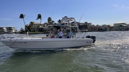 Inshore Fishing 4hours 