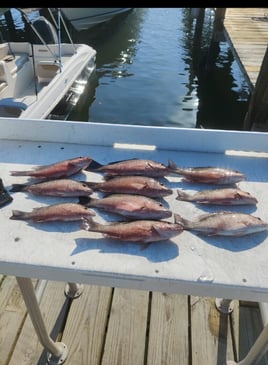 Inshore Fishing 4hours 