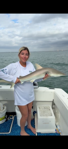Inshore Fishing 4 Hours 