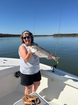4 Hour Inshore