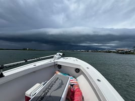 4 Hour Inshore
