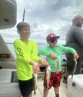 Half Day Trip – Yellow Perch