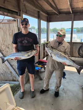 Salmon/Trout Fishing Trip