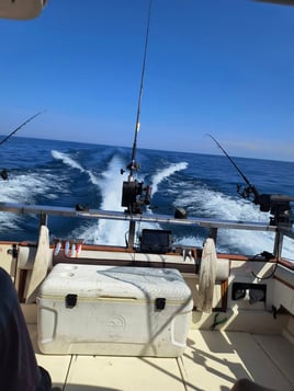 Full Day Trip – Troll & Perch Combo