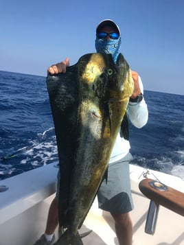 Half Day Or Full Day Fishing Trip