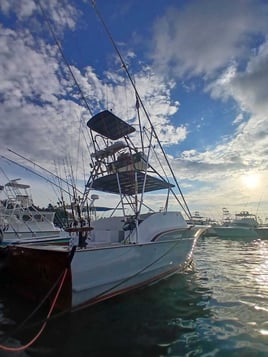 Half Day Or Full Day Fishing Trip