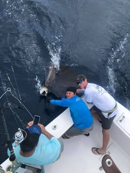 Half Day Or Full Day Fishing Trip