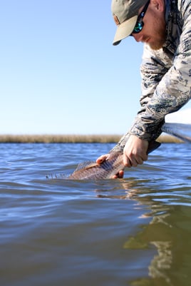 Fly/flats Fishing 