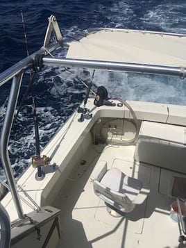 Offshore Sportfishing Experience 