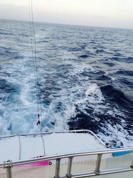 Offshore Sportfishing Experience 