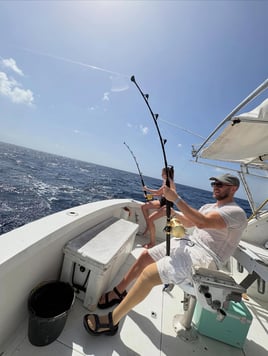 Full Day Marlin Fishing Trip