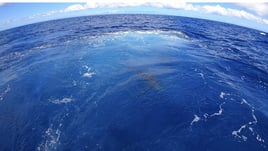 Full Day Marlin Fishing Trip