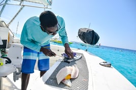 In-Shore Fishing Charter