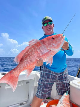 5-8 Hour Offshore Trip