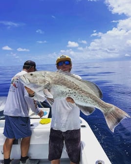 5-8 Hour Offshore Trip