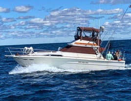 Lake Michigan 8 Hour Trip