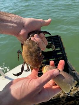 Matlacha Crabbing