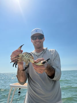 Matlacha Crabbing