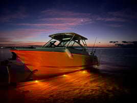 Half Day Deep Sea Fishing 