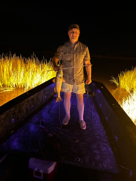 Marsh Monster