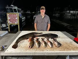 Marsh Monster