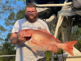 8 Hour Shark Fishing