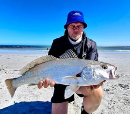 Edible Fishing