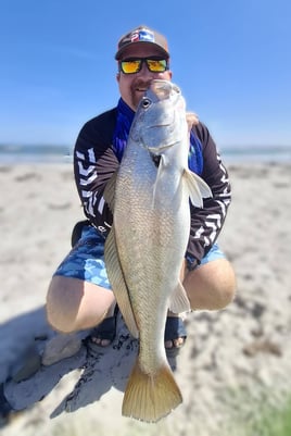 Edible Fishing