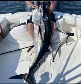 Full Day Fishing Charter (Copy)