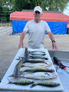 Isaacs Guiding Servive