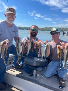 Isaacs Guiding Servive