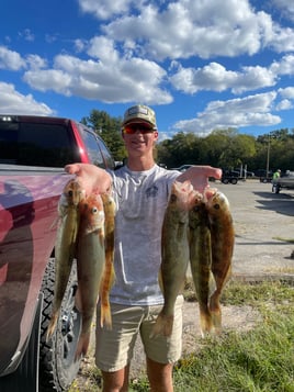 Isaacs Guiding Servive