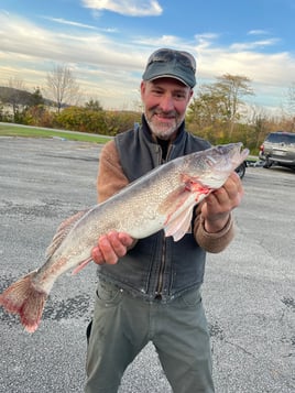 Isaacs Guiding Servive