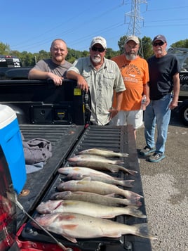 Isaacs Guiding Servive