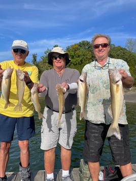 Isaacs Guiding Servive