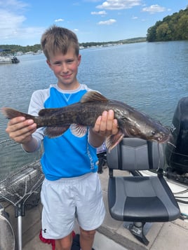 Isaacs Guiding Servive