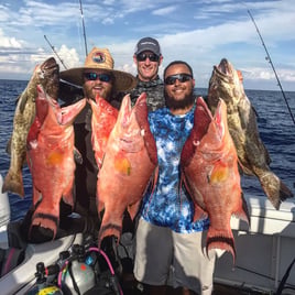 Offshore Fishing At Its Best