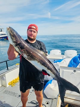 Offshore Fishing At Its Best