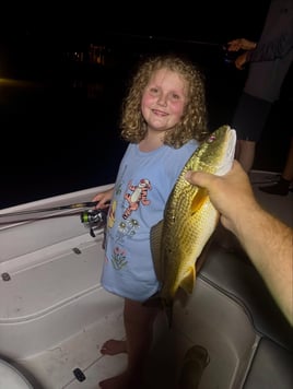 Night Green Light Inshore