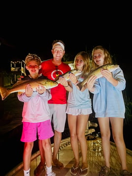 Night Green Light Inshore