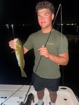 Night Green Light Inshore