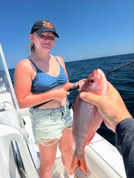 Offshore Mingo