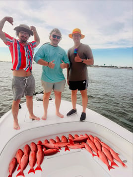 Offshore Mingo