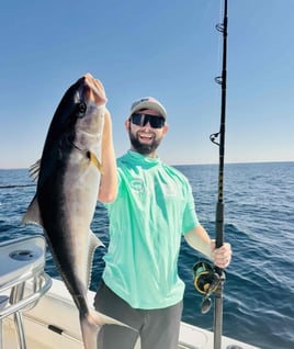 4-10 Hour Trip – Offshore